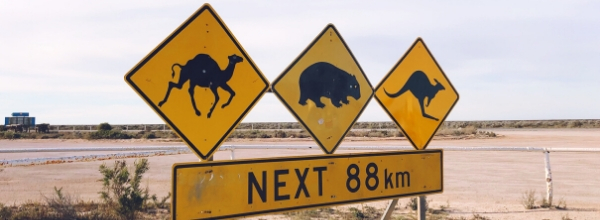 Top 6 Road Trips Australia