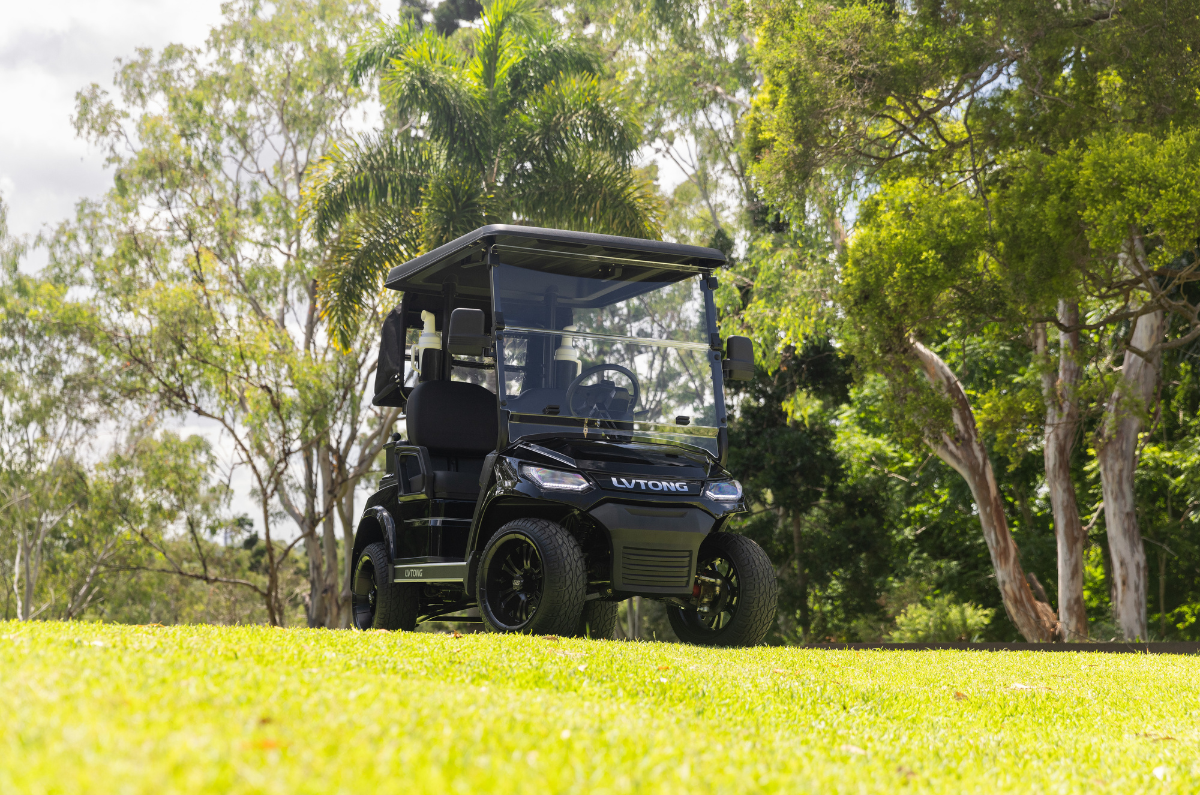 Black Electric Cart LVTong Red Plum Automotive Electric Cart Specialists